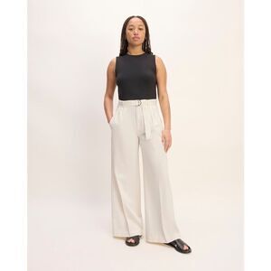 NWT Everlane The Pleated Wide-Leg Chino